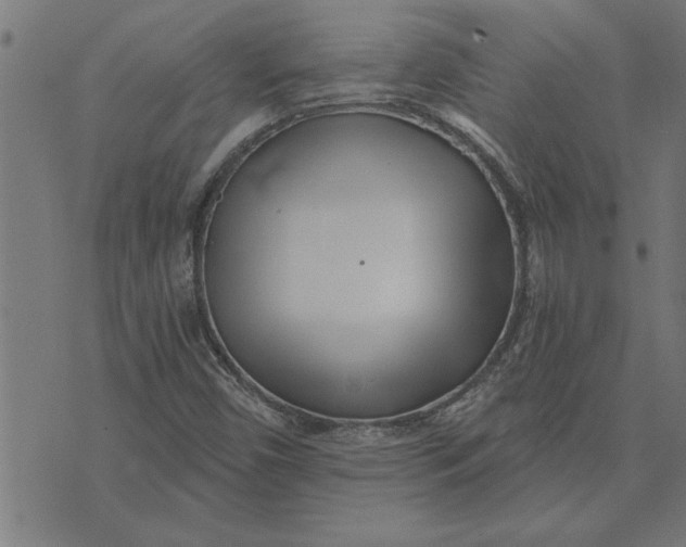 X0000073491450200608211638