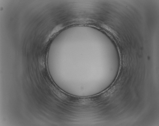 X0000073491451200608211638