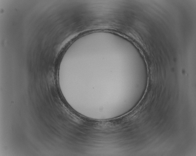 X0000073491452200608211638