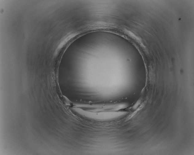 X0000073491453200608211638