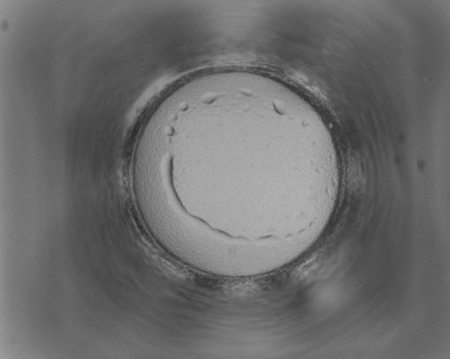 X0000073491454200608211638