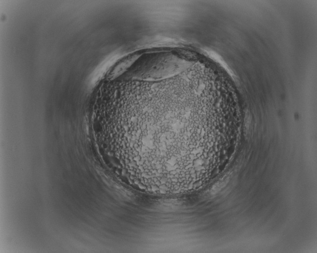 X0000073491455200608211638