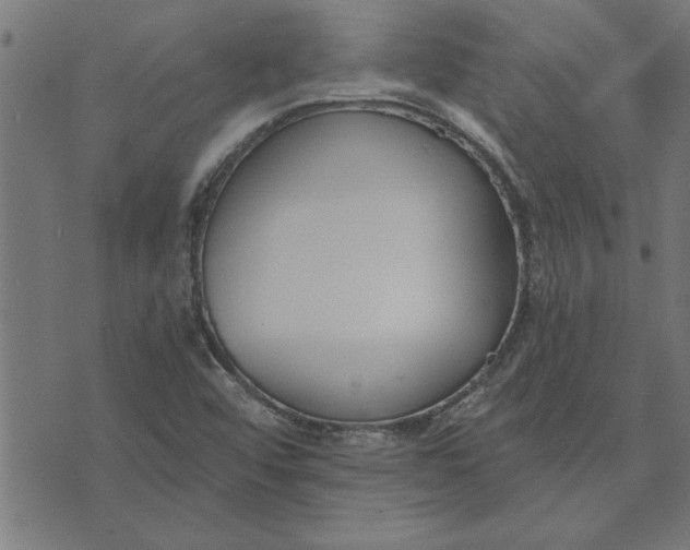 X0000073491456200608211638