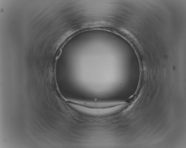 X0000073491457200608211638