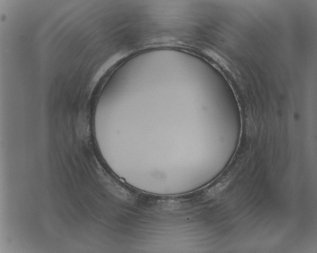 X0000073491458200608211638