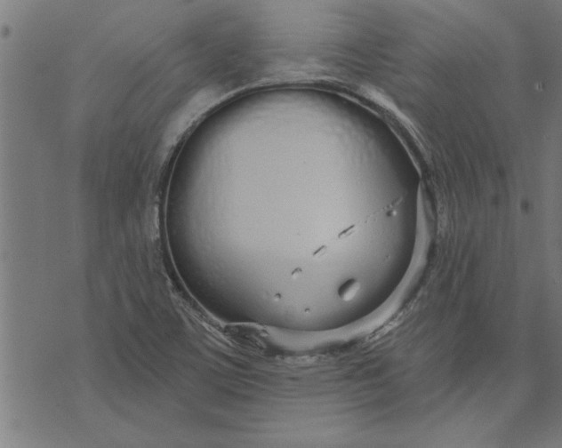 X0000073491459200608211638