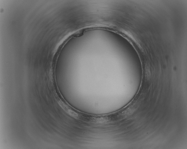 X0000073491460200608211638