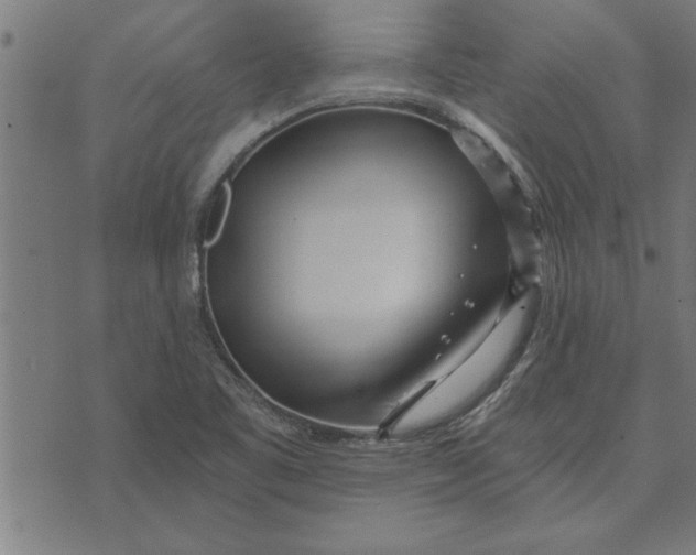 X0000073491461200608211638