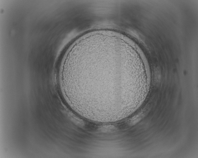 X0000073491462200608211638