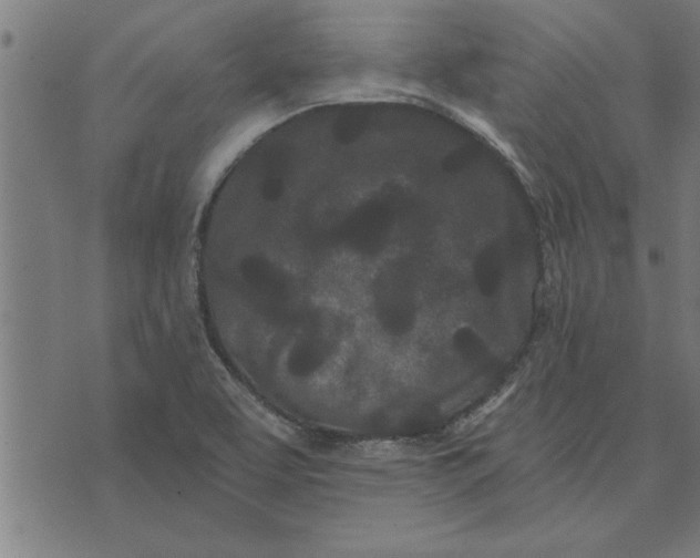 X0000073491463200608211638