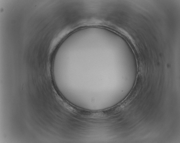 X0000073491464200608211638