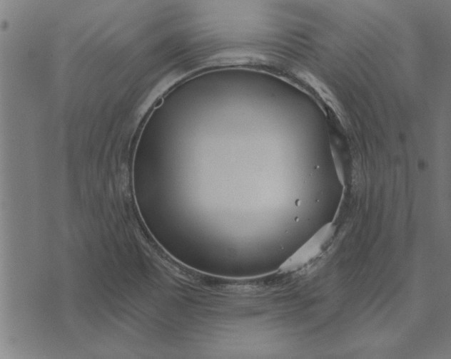 X0000073491465200608211638