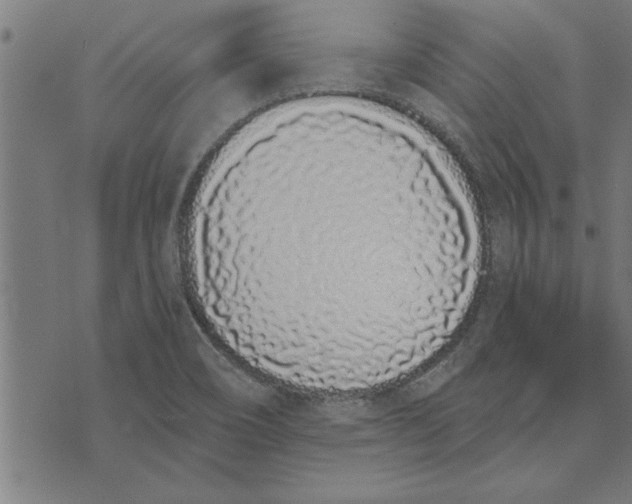 X0000073491466200608211638