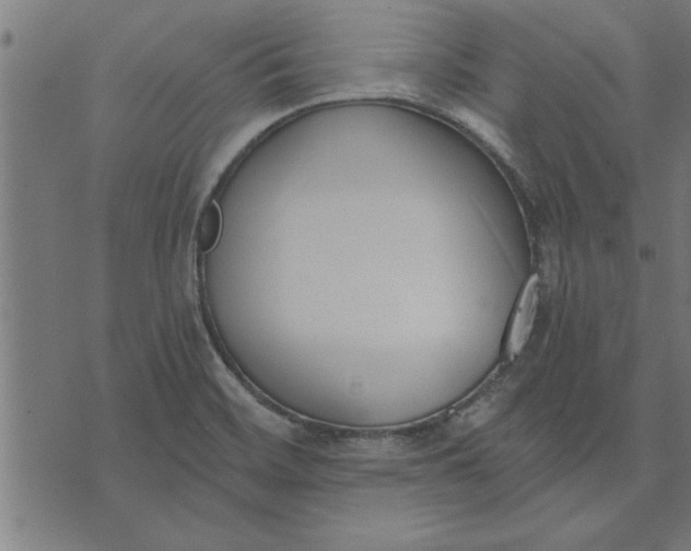 X0000073491468200608211638