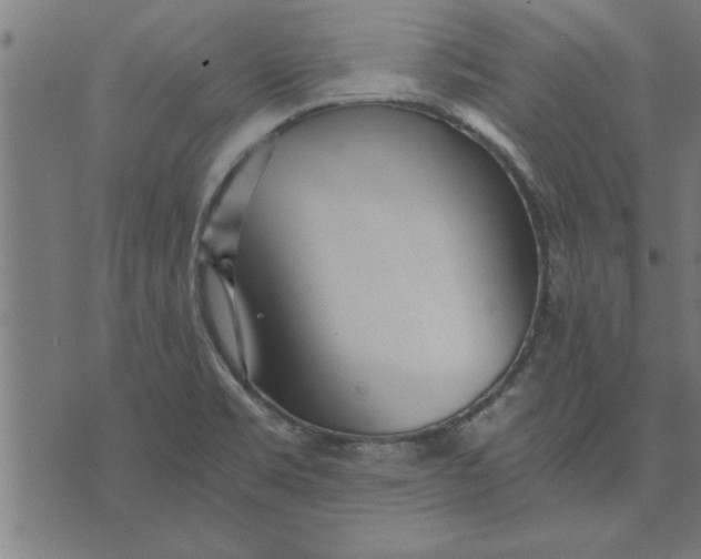 X0000073491469200608211637