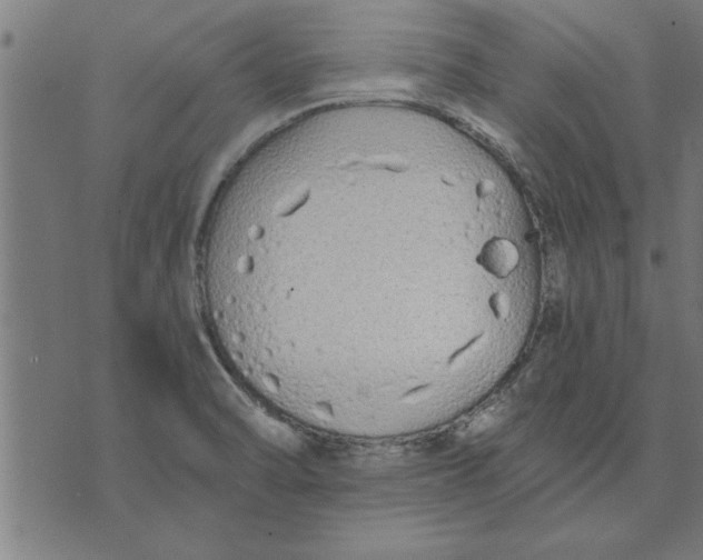 X0000073491470200608211637