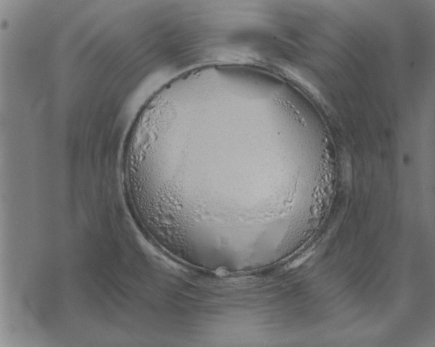 X0000073491471200608211637