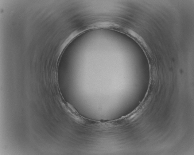 X0000073491473200608211637