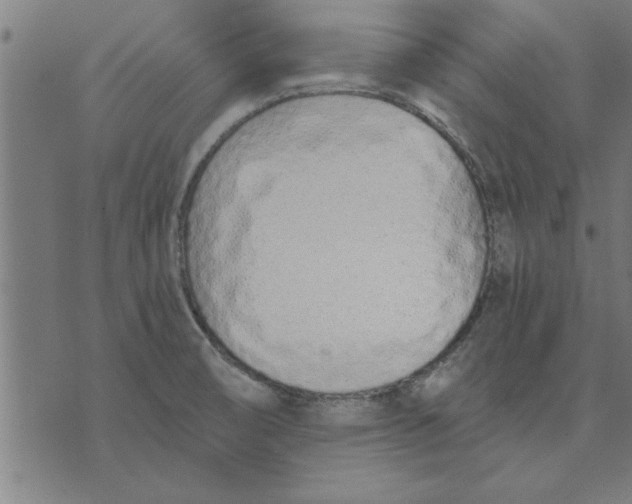 X0000073491474200608211637