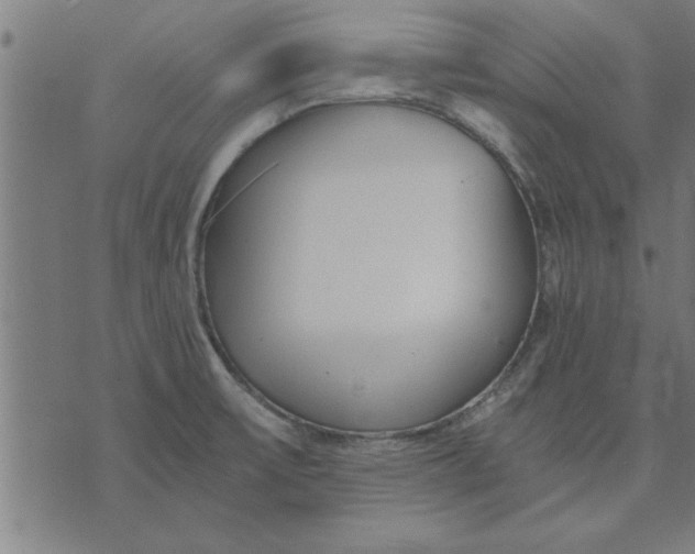 X0000073491475200608211637