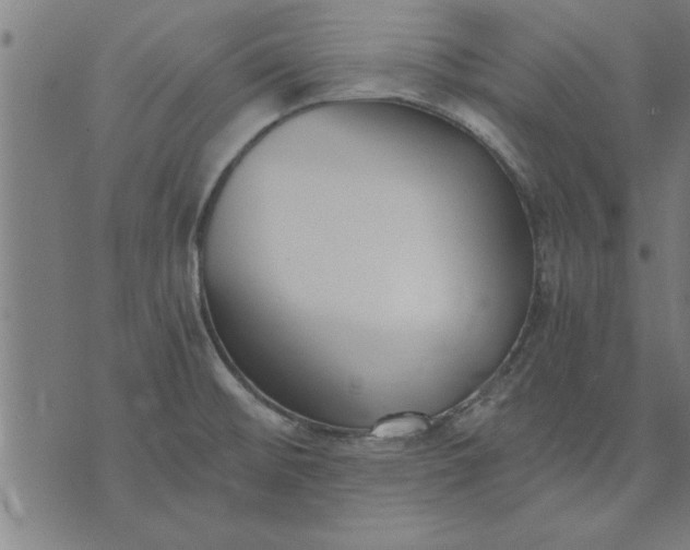 X0000073491476200608211637