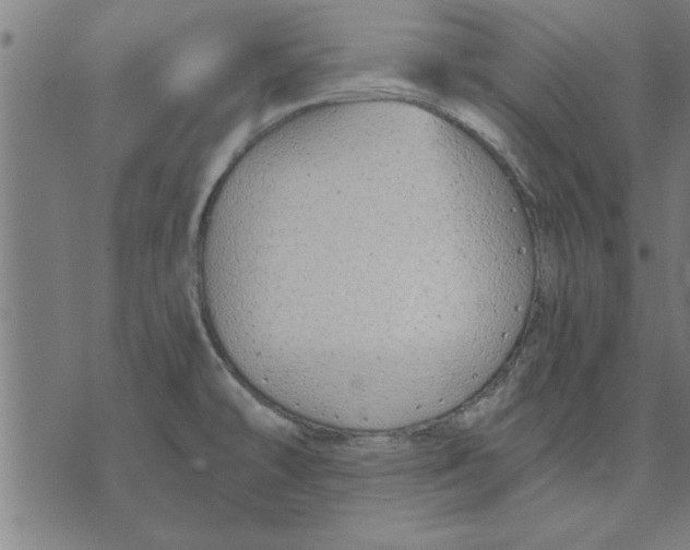 X0000073491478200608211637