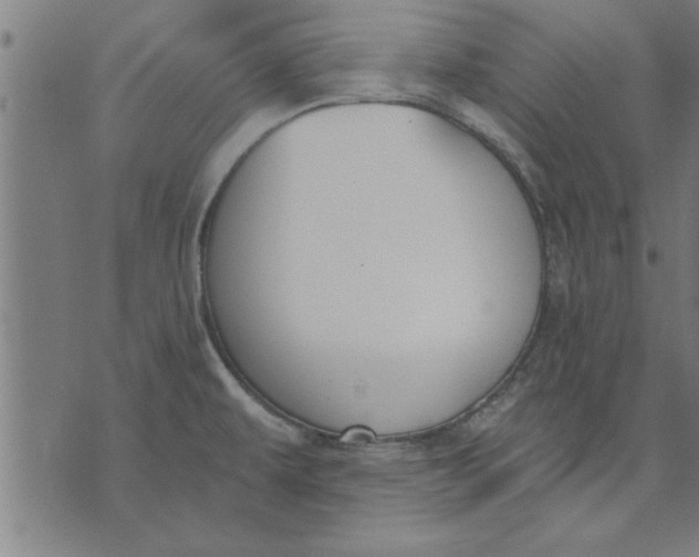 X0000073491479200608211637