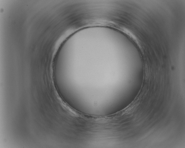 X0000073491480200608211637