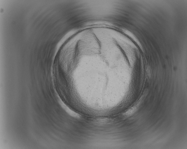 X0000073491482200608211637