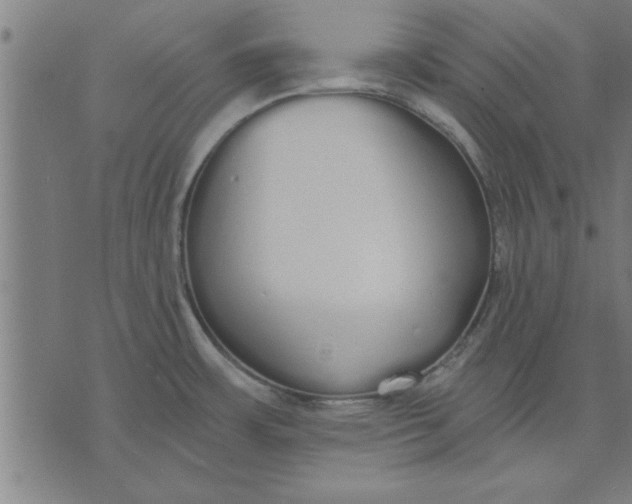 X0000073491483200608211637