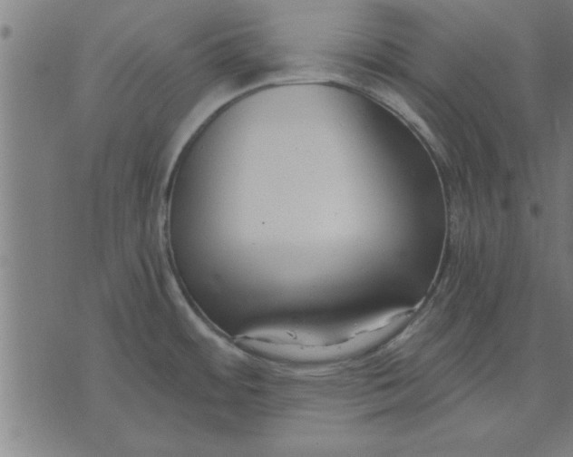 X0000073491484200608211637