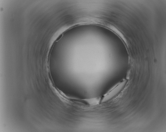 X0000073491485200608211637