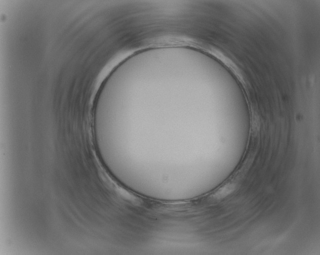 X0000073491486200608211637