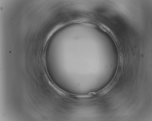 X0000073491487200608211637