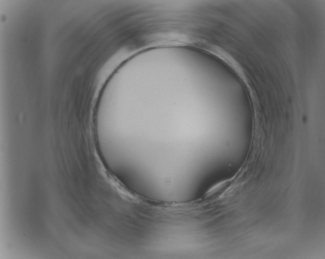 X0000073491488200608211637