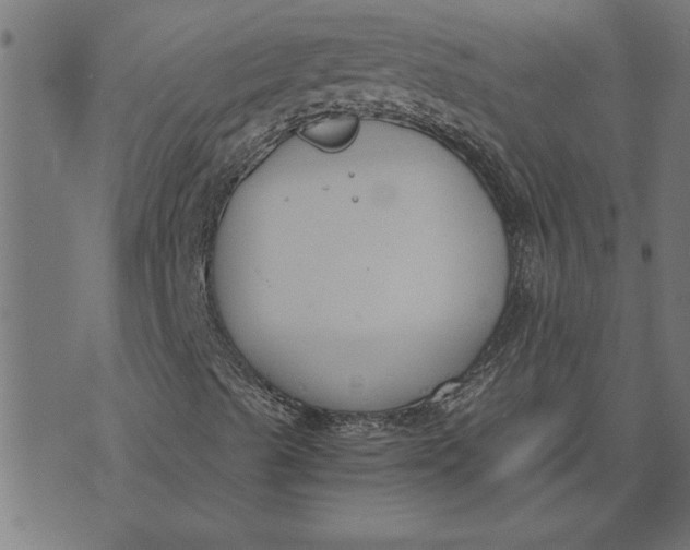 X0000073491489200608211636