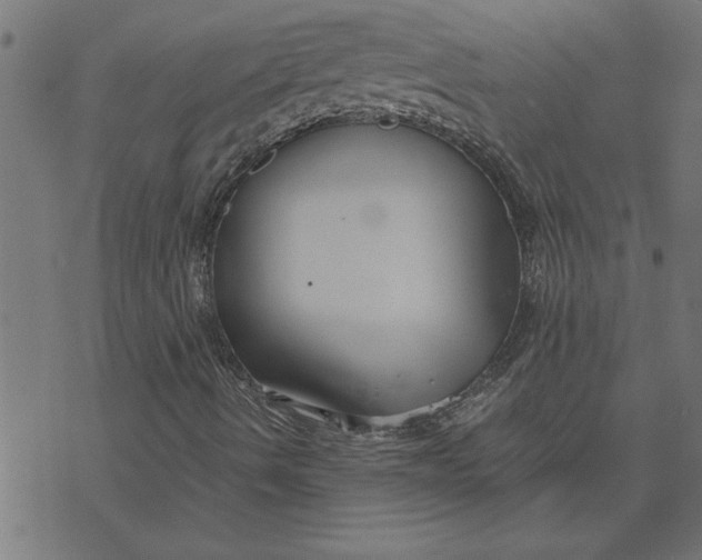 X0000073491490200608211636