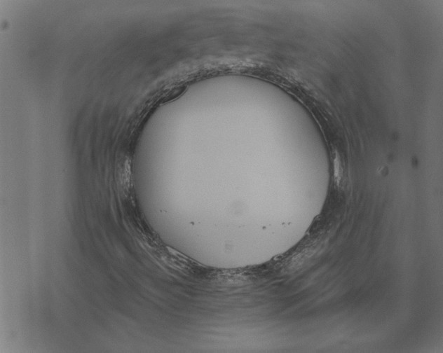 X0000073491492200608211636