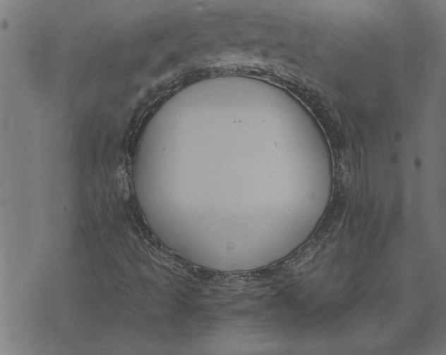 X0000073491493200608211636