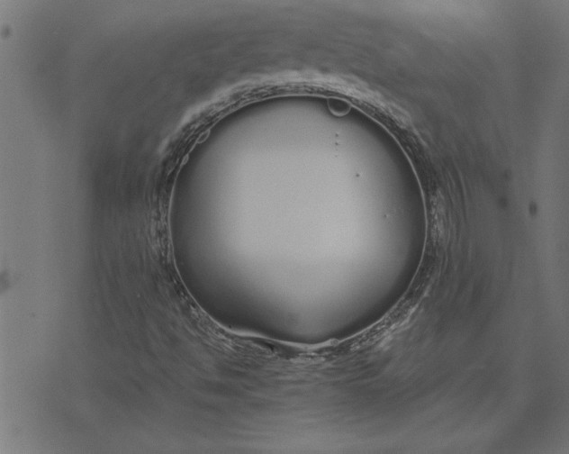 X0000073491494200608211636