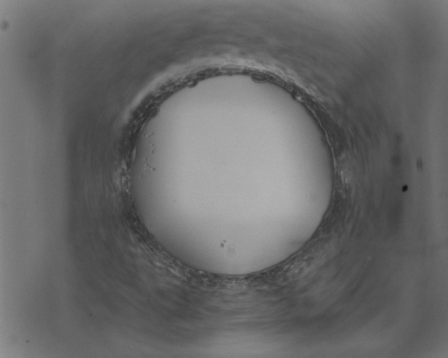 X0000073491495200608211637