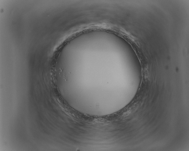 X0000073491496200608211637