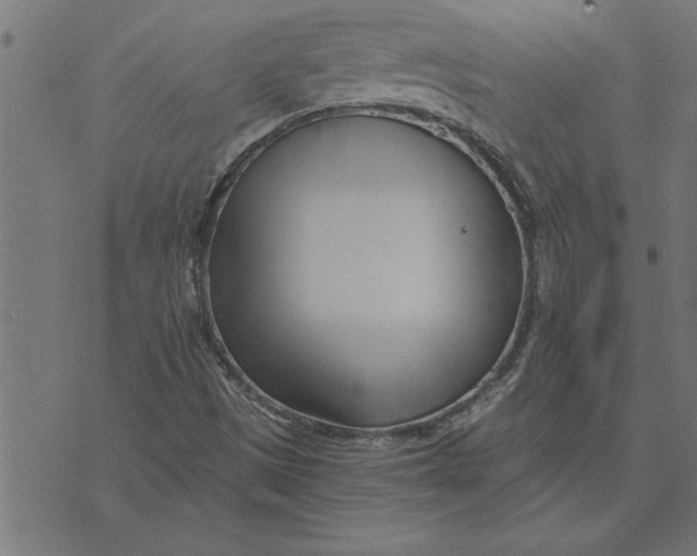 X0000073491497200608211637