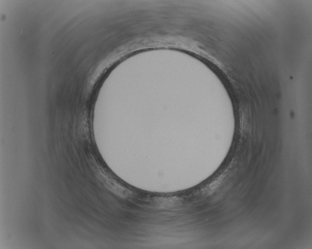 X0000073491498200608211637