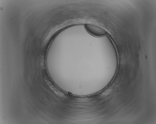 X0000073491499200608211637