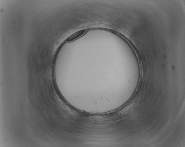 X0000073491500200608211637