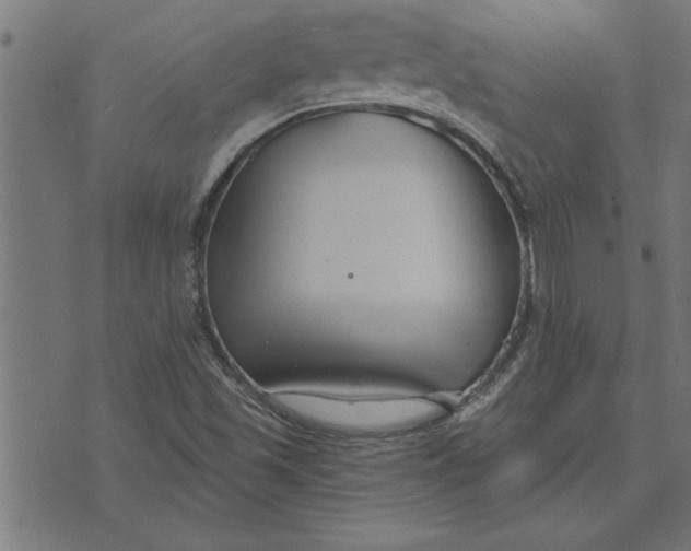 X0000073491501200608211637