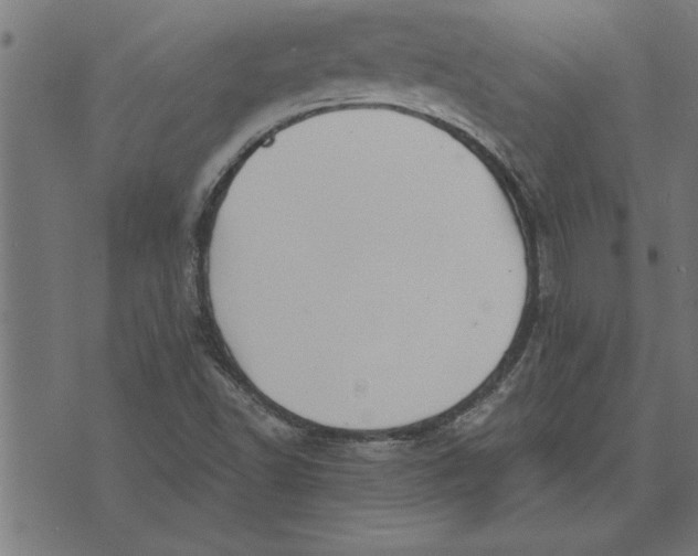 X0000073491502200608211637