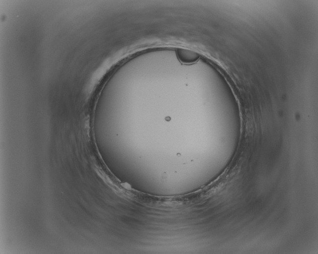 X0000073491503200608211637