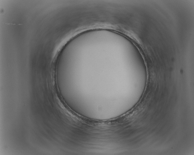 X0000073491504200608211637